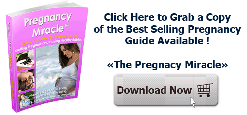 pregnancy miracle download pregnancy miracle download
